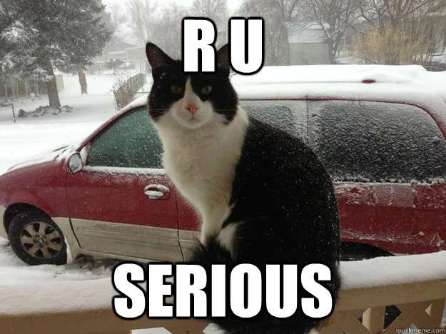 R U SERIOUS - R U SERIOUS  Misc