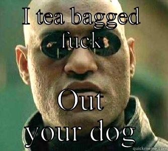 I TEA BAGGED FUCK OUT YOUR DOG Matrix Morpheus