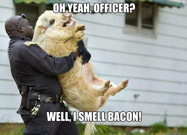 Oh yeah, officer? well, I SMELL BACON! - Oh yeah, officer? well, I SMELL BACON!  Arrested Pig