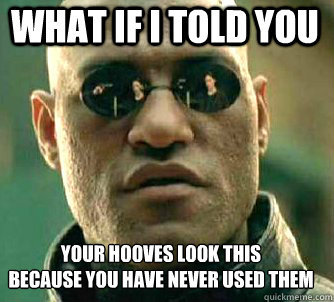 what if i told you Your hooves look this
because you have never used them  Matrix Morpheus
