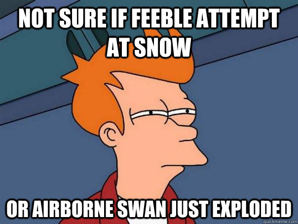 Not sure if feeble attempt at snow Or airborne swan just exploded  Futurama Fry