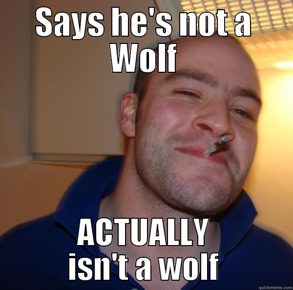 SAYS HE'S NOT A WOLF ACTUALLY ISN'T A WOLF Good Guy Greg 
