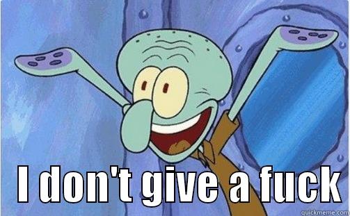     I DON'T GIVE A FUCK Misc