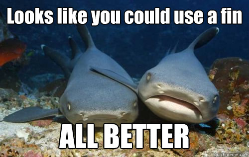 Looks like you could use a fin ALL BETTER  Compassionate Shark Friend