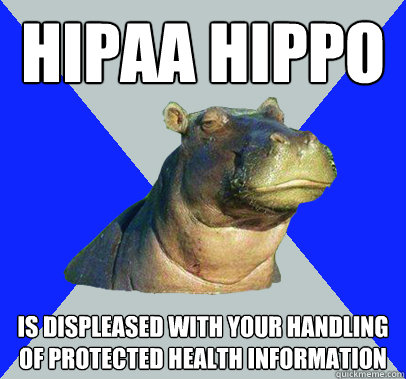 HIPAA HIPPO Is displeased with your handling of protected health information - HIPAA HIPPO Is displeased with your handling of protected health information  Skeptical Hippo