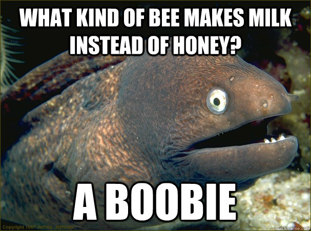 what kind of bee makes milk instead of honey? a boobie  Bad Joke Eel