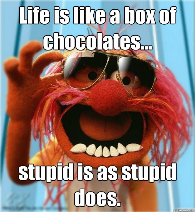 Life is like a box of chocolates... stupid is as stupid does.  Advice Animal