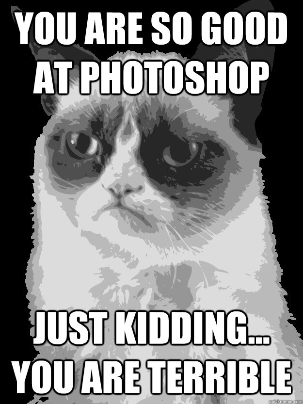 you are so good at photoshop just kidding... you are terrible  Grumpy Cat on Photoshop