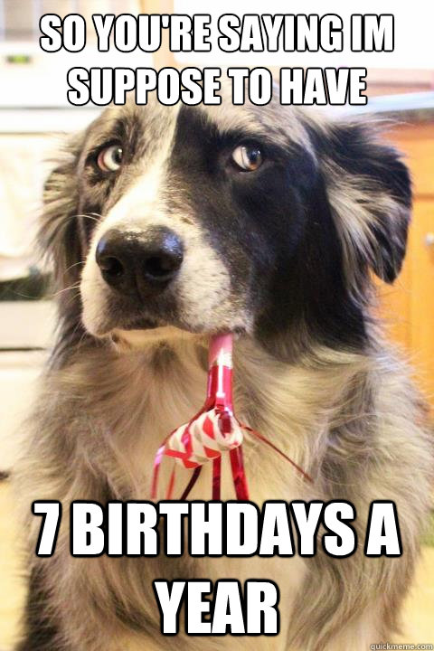 so you're saying Im suppose to have 7 birthdays a year - so you're saying Im suppose to have 7 birthdays a year  Skeptical Dog