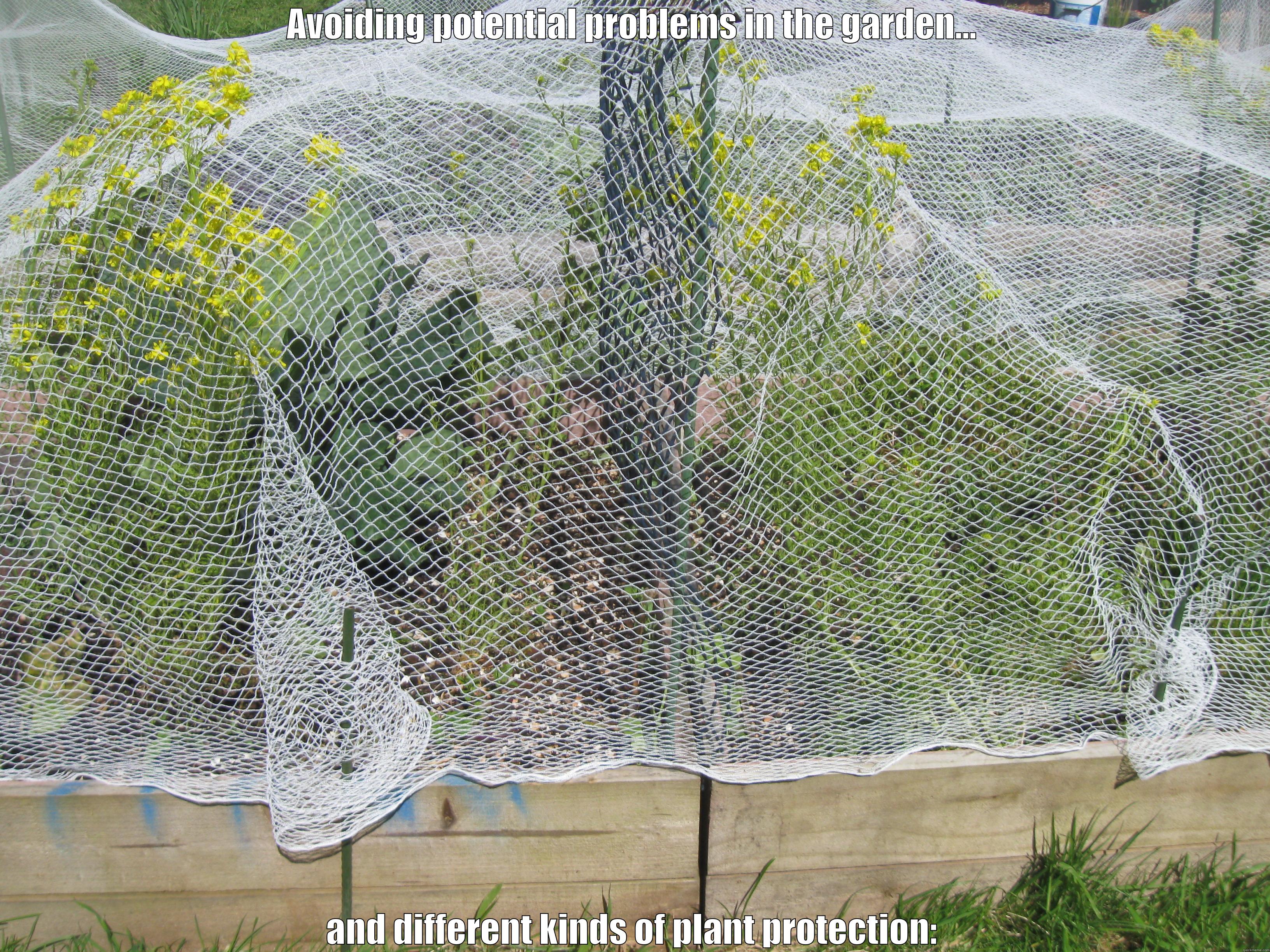 AVOIDING POTENTIAL PROBLEMS IN THE GARDEN... AND DIFFERENT KINDS OF PLANT PROTECTION: Misc