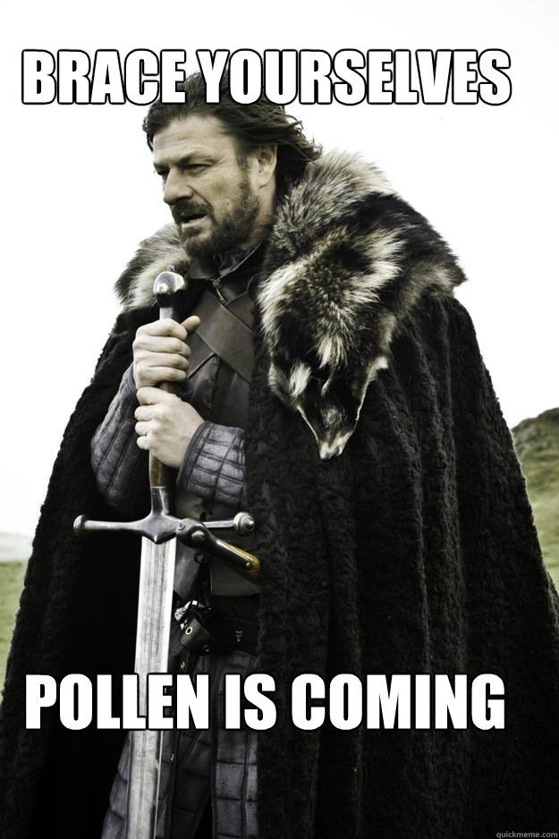 Brace YOURSELVES POLLEN IS COMING - Brace YOURSELVES POLLEN IS COMING  WinterisComing