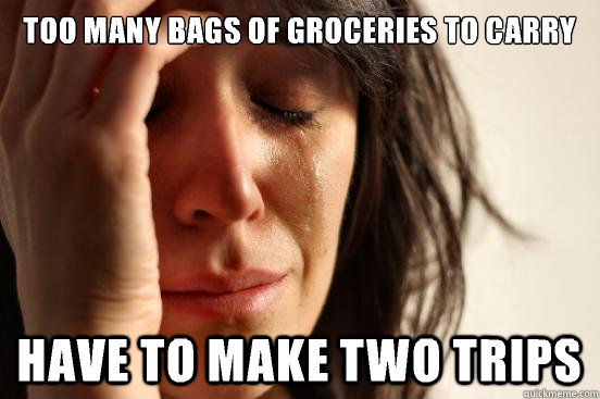 Too many bags of groceries to carry Have to make two trips - Too many bags of groceries to carry Have to make two trips  First World Problems