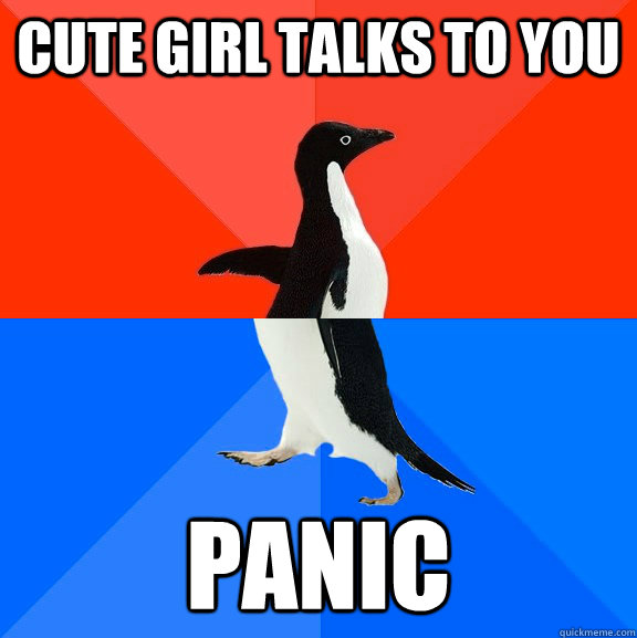 Cute girl talks to you panic  Socially Awesome Awkward Penguin