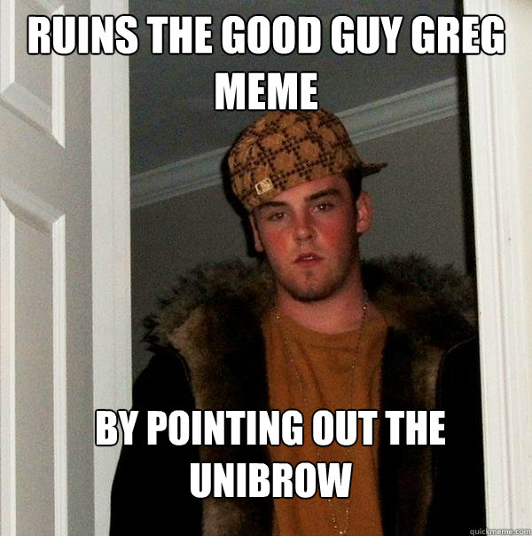 Ruins the good guy greg meme by pointing out the unibrow  Scumbag Steve
