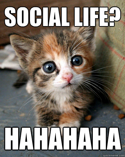 social life? hahahaha  Thesis Kitten