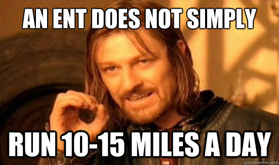An Ent Does Not Simply run 10-15 miles a day  Boromir