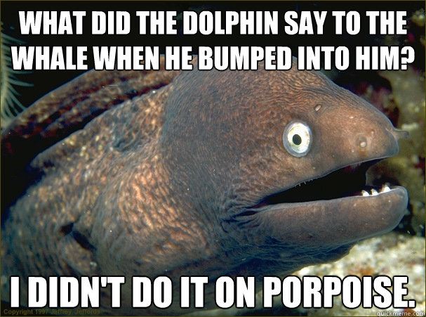 ◦What did the dolphin say to the whale when he bumped into him?
 ◦I didn't do it on porpoise.
 - ◦What did the dolphin say to the whale when he bumped into him?
 ◦I didn't do it on porpoise.
  Bad Joke Eel