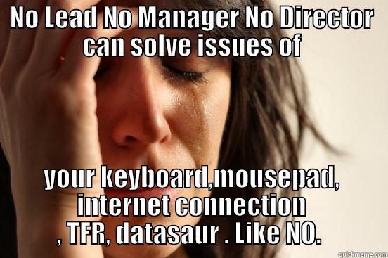 NO LEAD NO MANAGER NO DIRECTOR CAN SOLVE ISSUES OF YOUR KEYBOARD,MOUSEPAD, INTERNET CONNECTION , TFR, DATASAUR . LIKE NO.  First World Problems