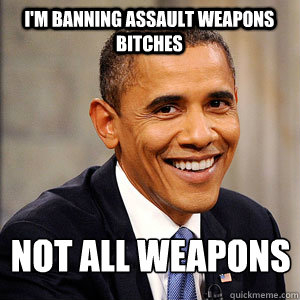 I'M BANNING ASSAULT WEAPONS Bitches Not all weapons - I'M BANNING ASSAULT WEAPONS Bitches Not all weapons  Barack Obama