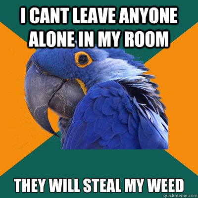 I cant leave anyone alone in my room they will steal my weeD  Paranoid Parrot