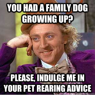 You had a family dog growing up? Please, indulge me in your pet rearing advice  Psychotic Willy Wonka