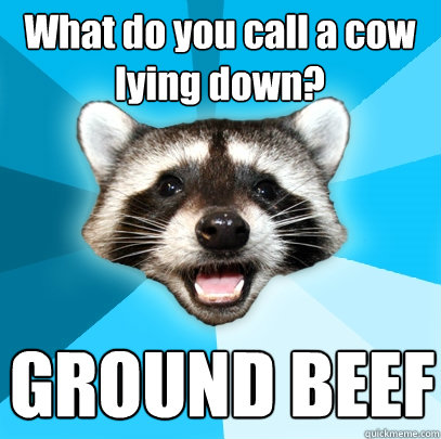 What do you call a cow lying down? GROUND BEEF  Lame Pun Coon