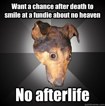 Want a chance after death to smile at a fundie about no heaven No afterlife  Depression Dog