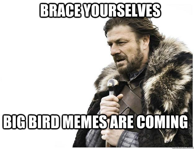 Brace yourselves Big Bird memes are coming  Imminent Ned