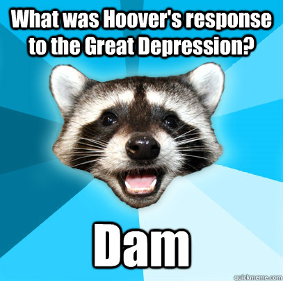 What was Hoover's response to the Great Depression? Dam  Lame Pun Coon
