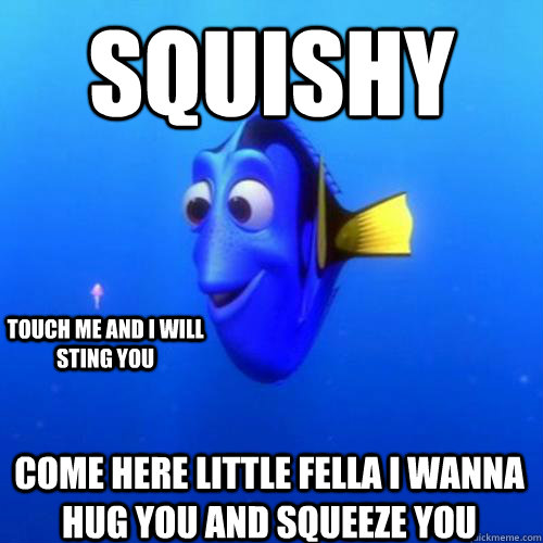 squishy  come here little fella i wanna hug you and squeeze you touch me and i will sting you  dory