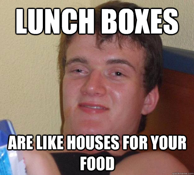 Lunch boxes  Are like houses for your food  10 Guy