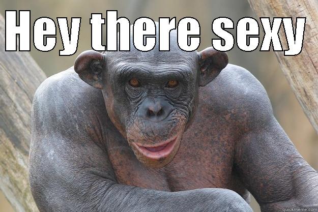 HEY THERE SEXY   The Most Interesting Chimp In The World