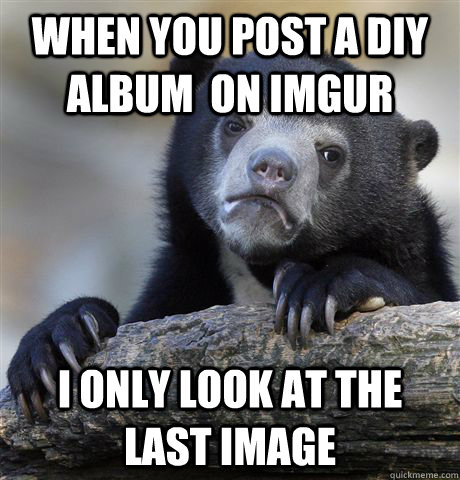 When you post a DIY album  on IMGUR I only look at the last image  Confession Bear