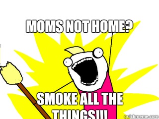 Moms not home? SMOKE ALL THE THINGS!!!  All The Things