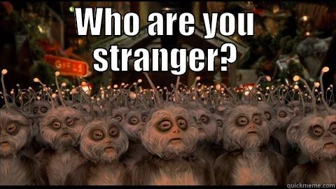 WHO ARE YOU STRANGER?  Misc
