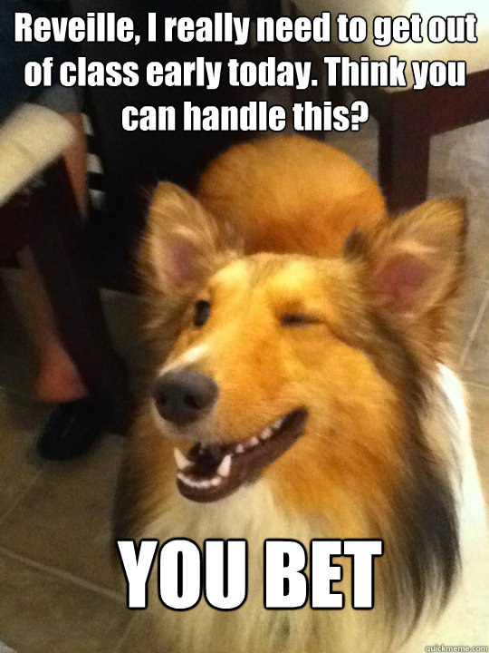 Reveille, I really need to get out of class early today. Think you can handle this? YOU BET  implying dog