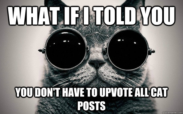 What if i told you You don't have to upvote all cat posts - What if i told you You don't have to upvote all cat posts  Morpheus Cat Facts