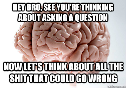 HEY BRO, SEE you're thinking about asking a question now let's think about all the shit that could go wrong  Scumbag Brain