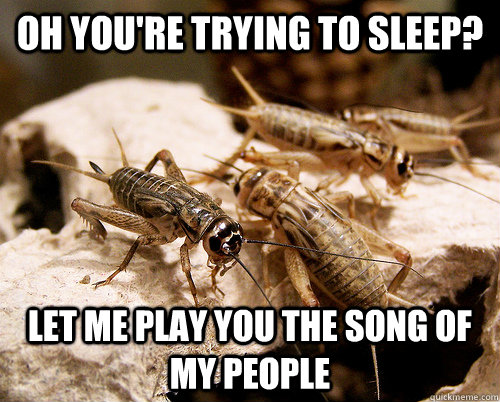 oh you're trying to sleep? let me play you the song of my people - oh you're trying to sleep? let me play you the song of my people  Misc