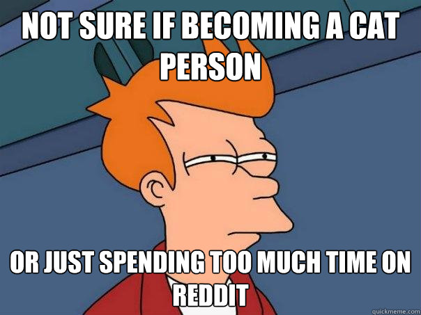 Not sure if becoming a cat person Or just spending too much time on reddit - Not sure if becoming a cat person Or just spending too much time on reddit  Futurama Fry