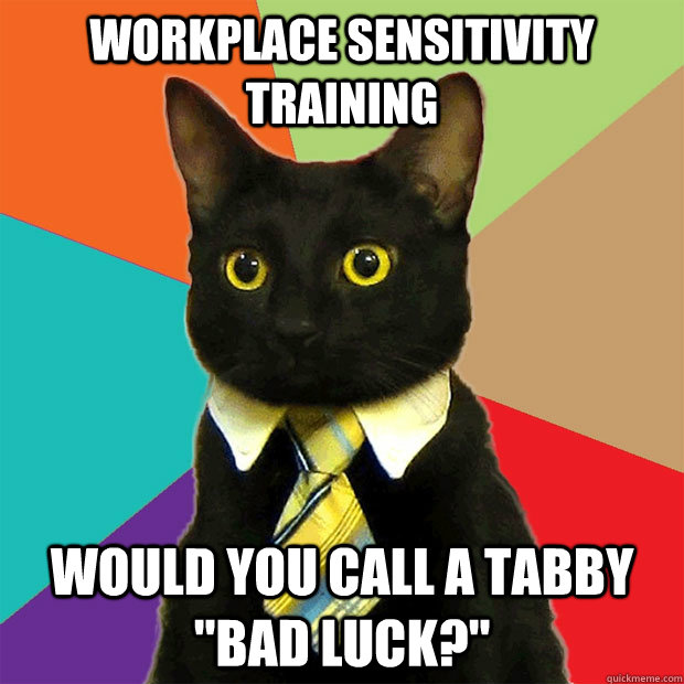 Workplace sensitivity training Would you call a tabby 