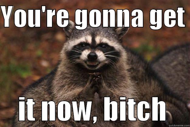 YOU'RE GONNA GET  IT NOW, BITCH Evil Plotting Raccoon