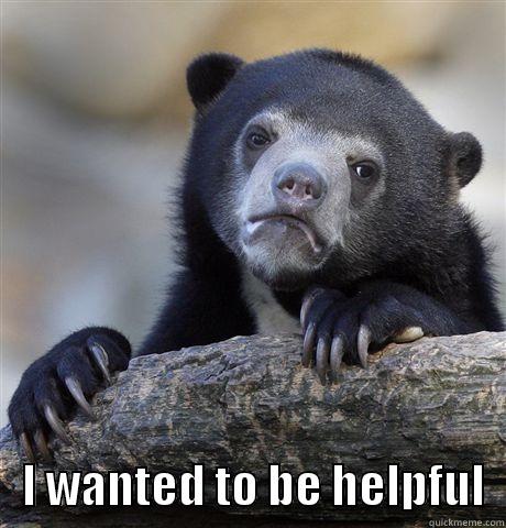     I WANTED TO BE HELPFUL  Confession Bear