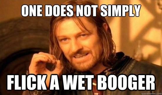One Does Not Simply flick a wet booger  Boromir