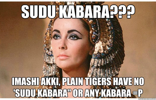 SUDU kabara??? Imashi akki, plain tigers have no 'sudu kabara