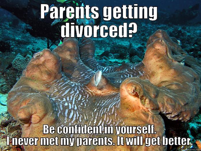 PARENTS GETTING DIVORCED? BE CONFIDENT IN YOURSELF. I NEVER MET MY PARENTS. IT WILL GET BETTER. Misc