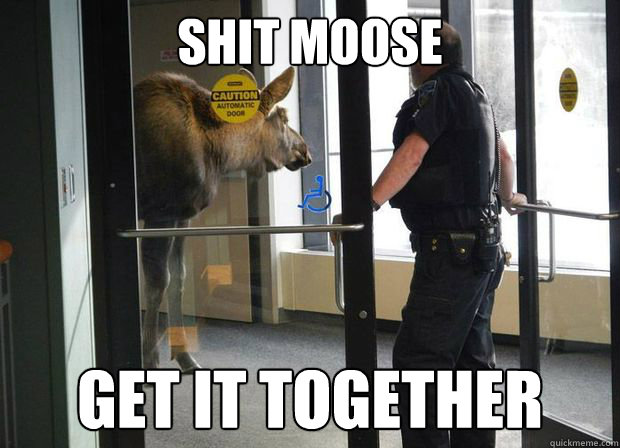 Shit moose get it together - Shit moose get it together  Misc