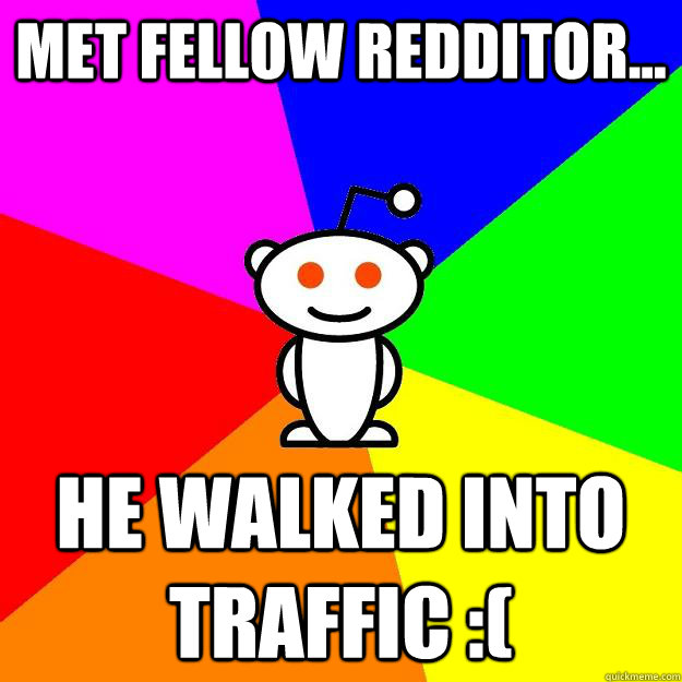 Met fellow redditor... He walked into traffic :(  Reddit Alien