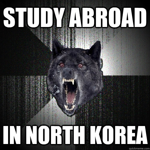 Study Abroad IN NORTH KOREA  Insanity Wolf