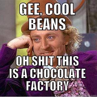 GEE, COOL BEANS OH SHIT THIS IS A CHOCOLATE FACTORY Condescending Wonka